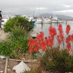 Bermagui - Wallaga Lakes